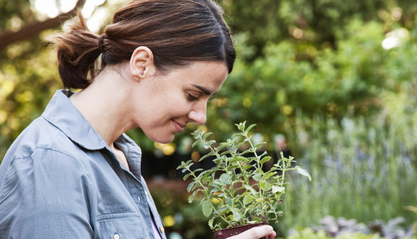 A woman smells a potted plant in her flourishing garden. Flower scents are lovely, but they're all wrong for UI products.